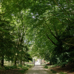 Parnham Park Forest School, 24TH OCT