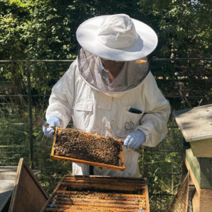 Beekeeping & Garden Day